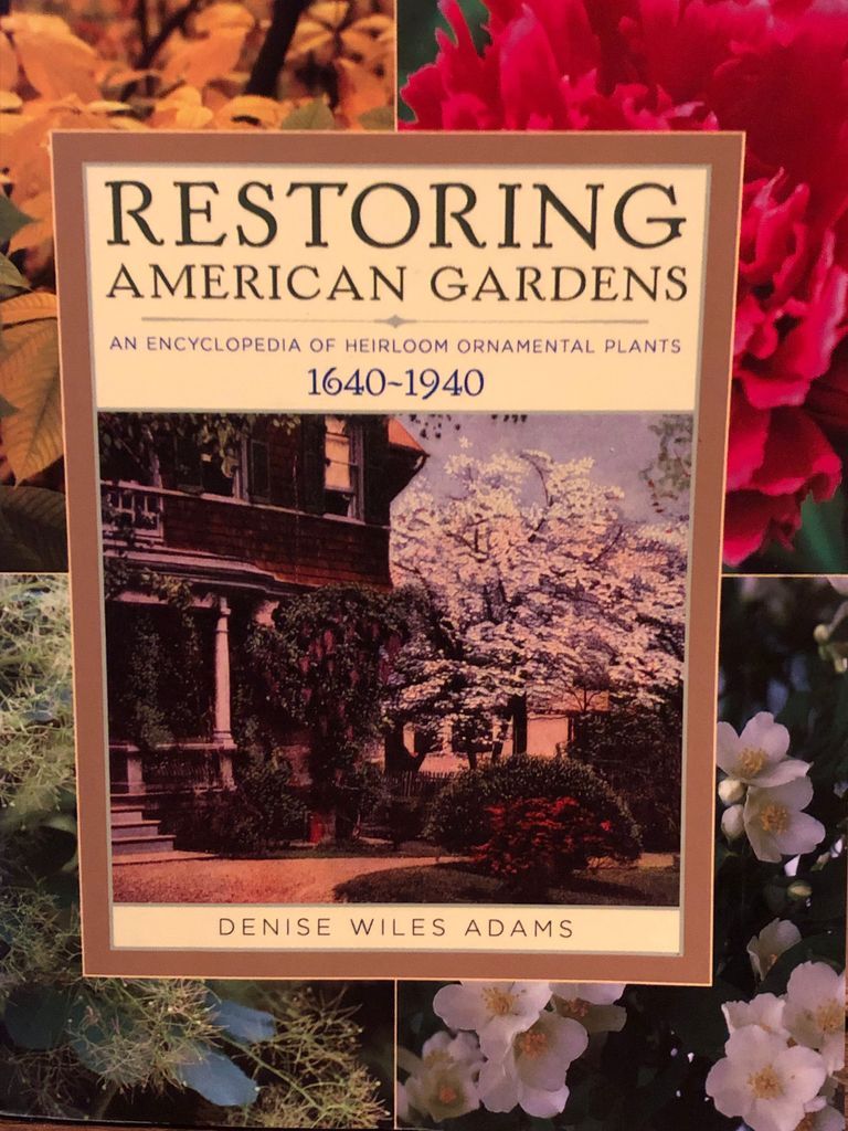          Restoring American Gardens, 2004 picture number 1
   