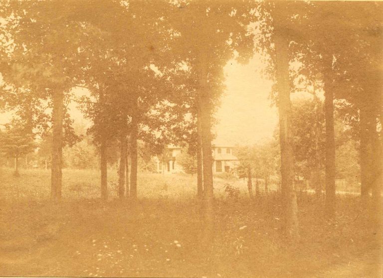          Hartshorn Album 3: House Viewed Through Trees picture number 1
   