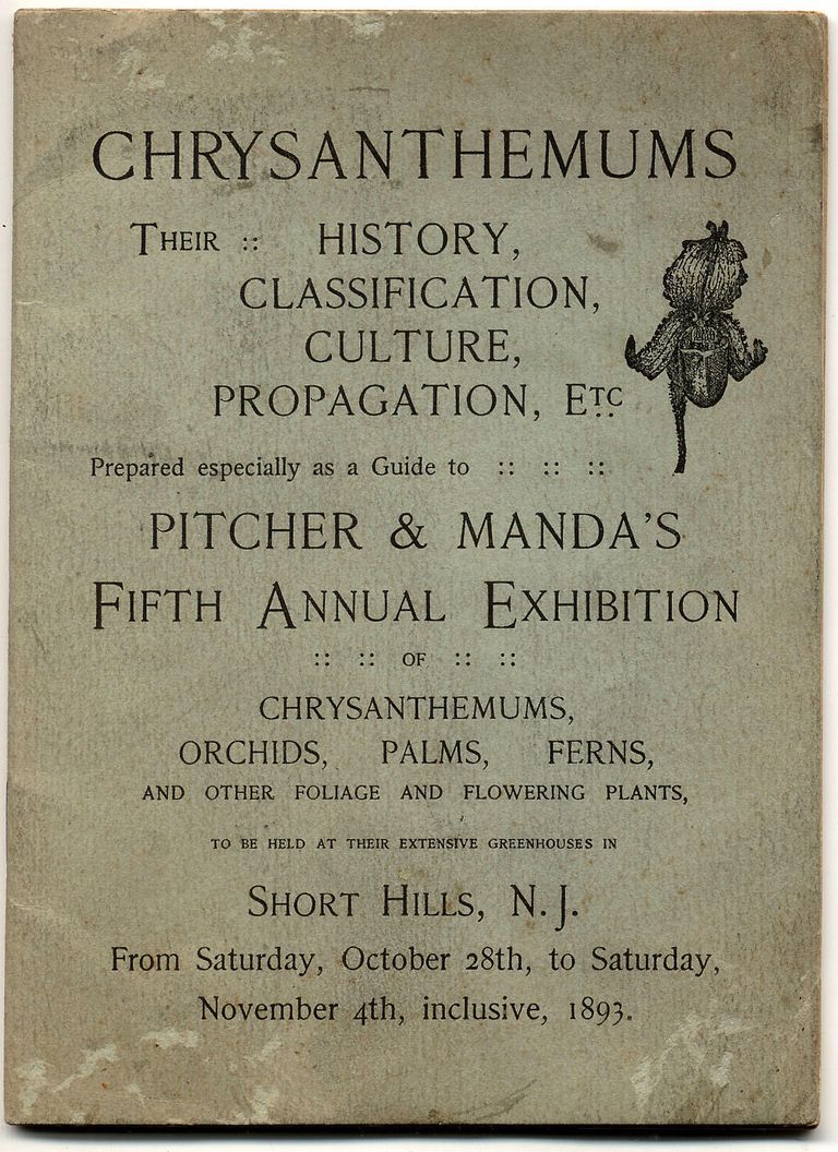          Pitcher & Manda 5th Annual Exhibition Guide to Chrysanthemums
   