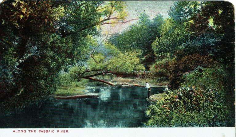          Postally unused
   