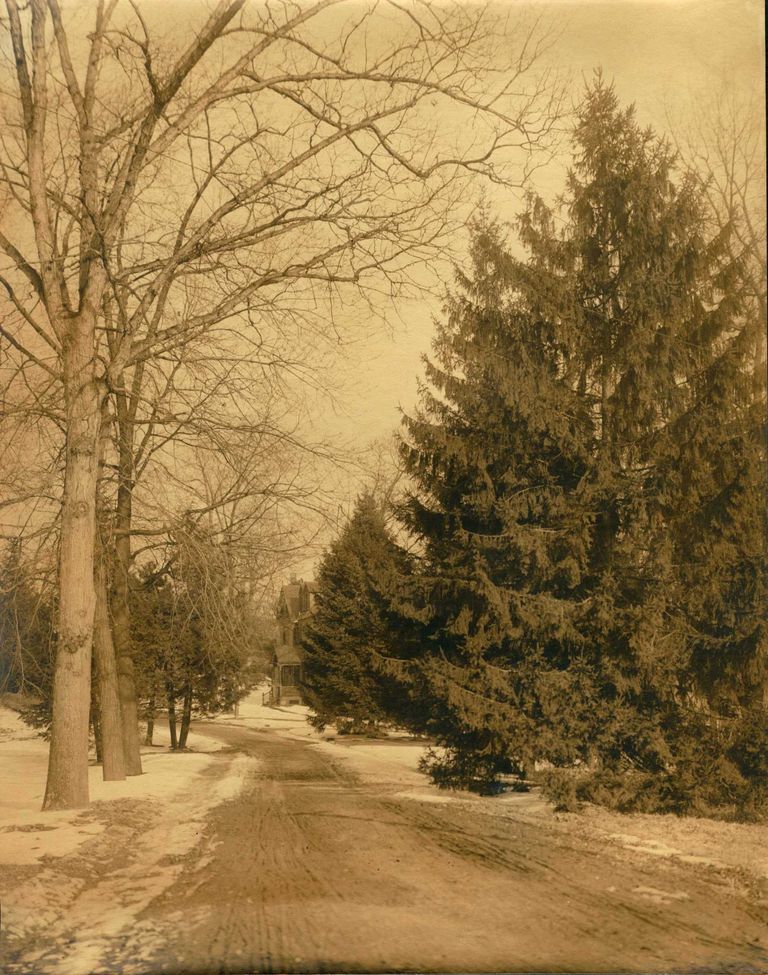          Hartshorn Photo Album Short Hills: Dirt Road and Trees picture number 1
   