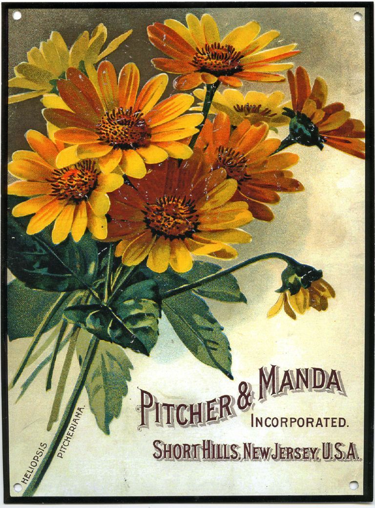          Pitcher& Manda Inc., Reproductio- Small Metal Sign picture number 1
   