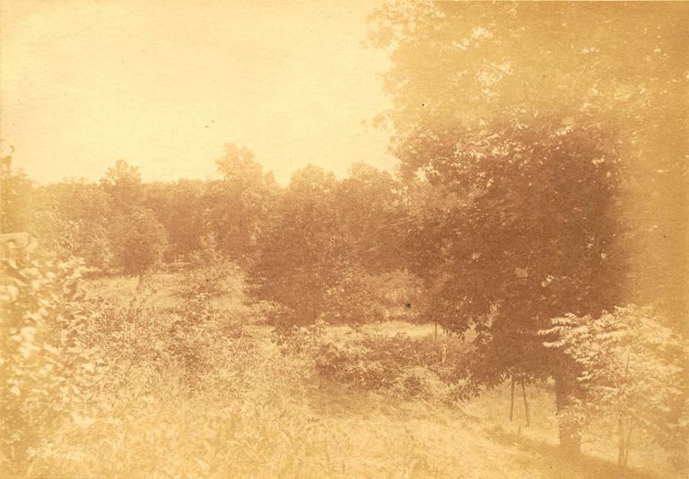          Hartshorn Album 3: Short Hills Landscape in Sunlight picture number 1
   
