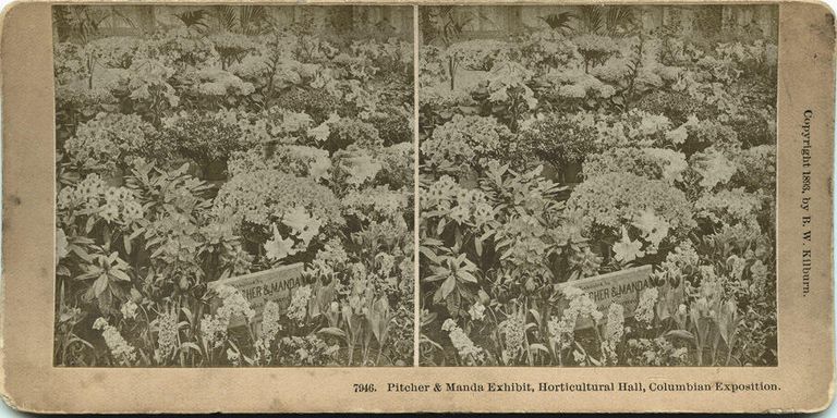          Pitcher and Manda: Columbian Exposition Stereoview Photographs, 1893 picture number 1
   