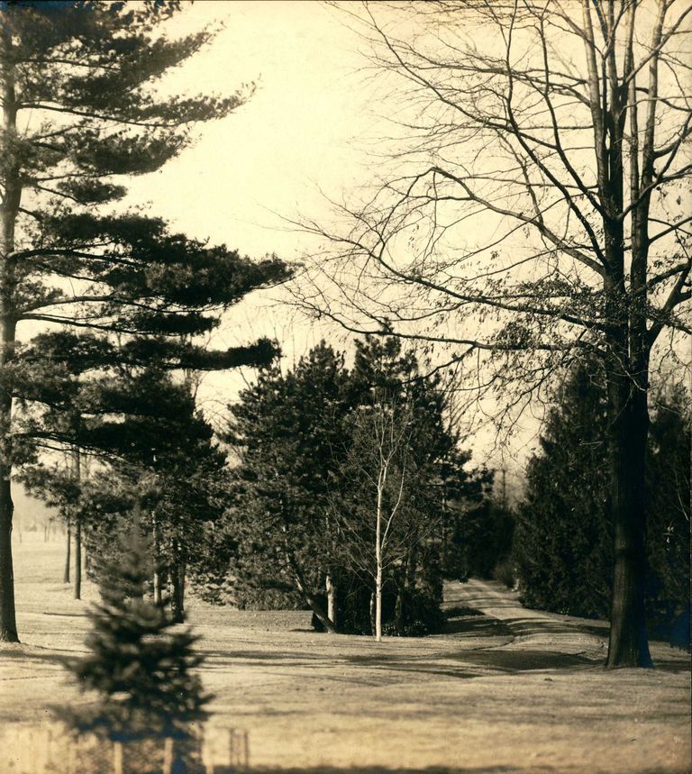          Hartshorn Photo Album Short Hills: Trees and Dirt Road picture number 1
   