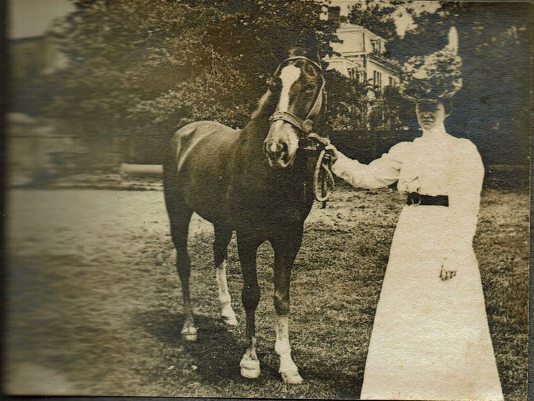          Marshall-Schmidt Album: Woman in White Leading a Horse picture number 1
   