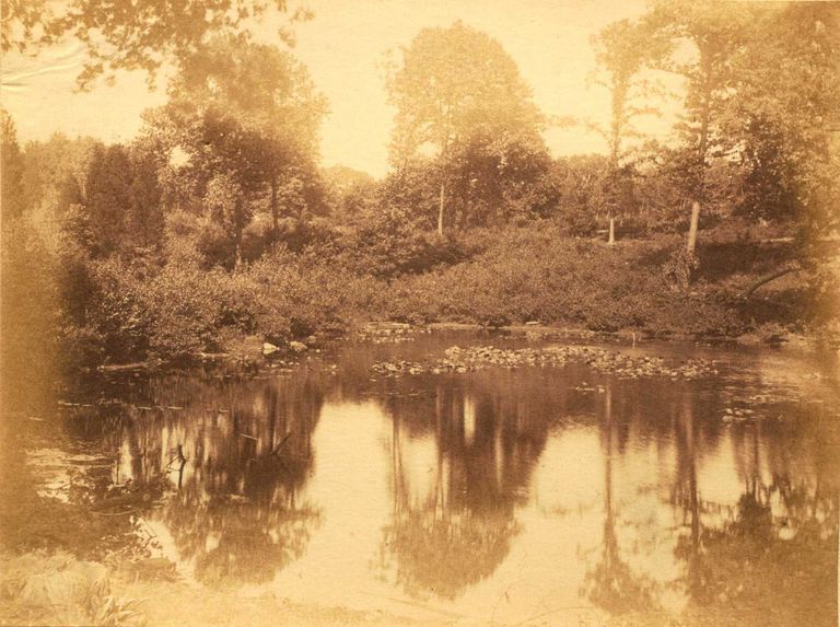          Hartshorn Album 3: Reflections on a Pond in Short Hills picture number 1
   