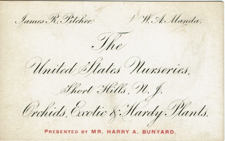          Pitcher and Manda: Business Card picture number 1
   