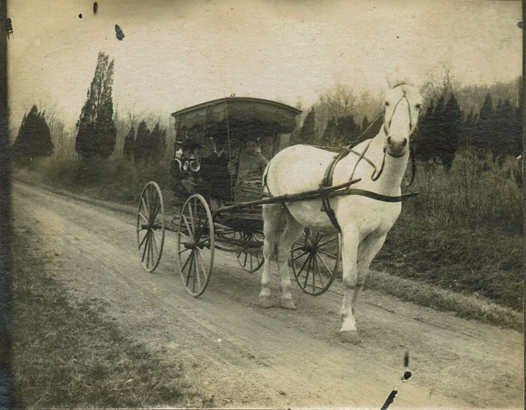          Marshall-Schmidt Photo Album: Margaret Marshall and others in Horse-Drawn Carriage picture number 1
   