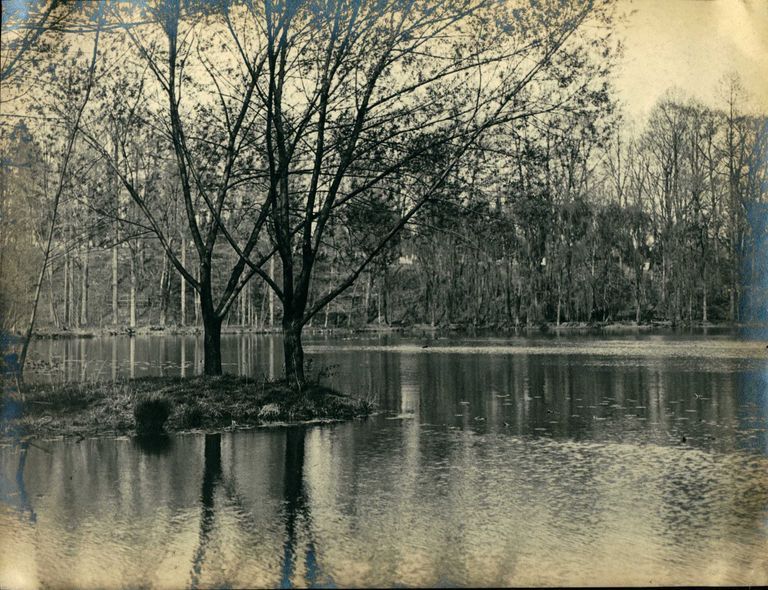          Hartshorn Photo Album 2: The Trout Pond picture number 1
   