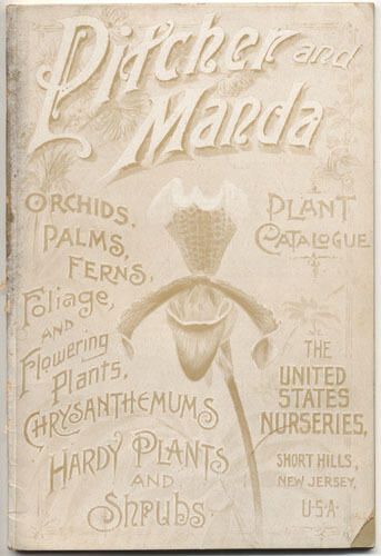          Pitcher and Manda Plant Catalog, 1894 picture number 1
   