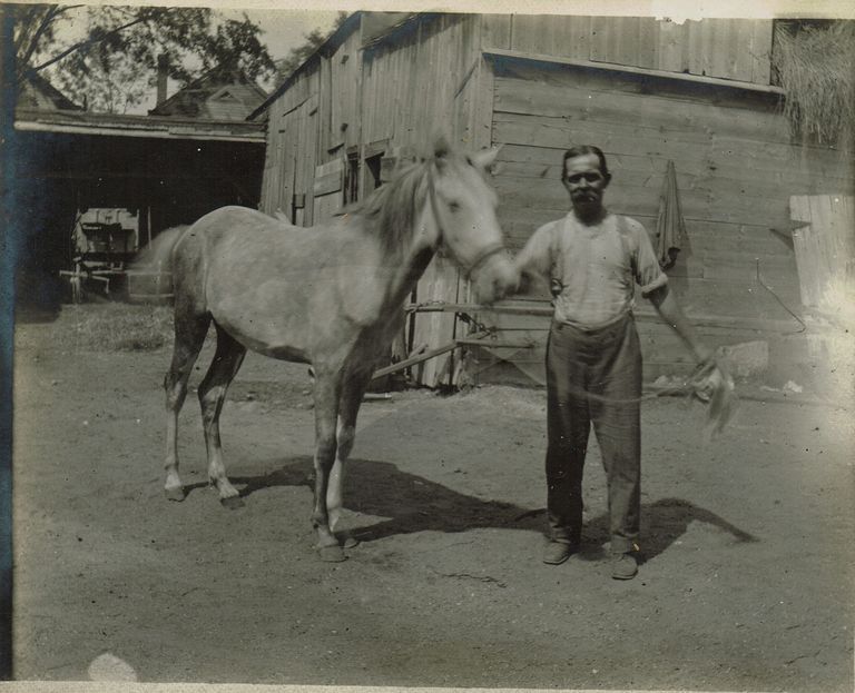          Marshall-Schmidt Album: Man Leading Horse Near Stable picture number 1
   
