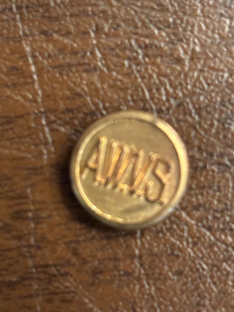          AWVS: American Women's Volunteer Services Button picture number 1
   