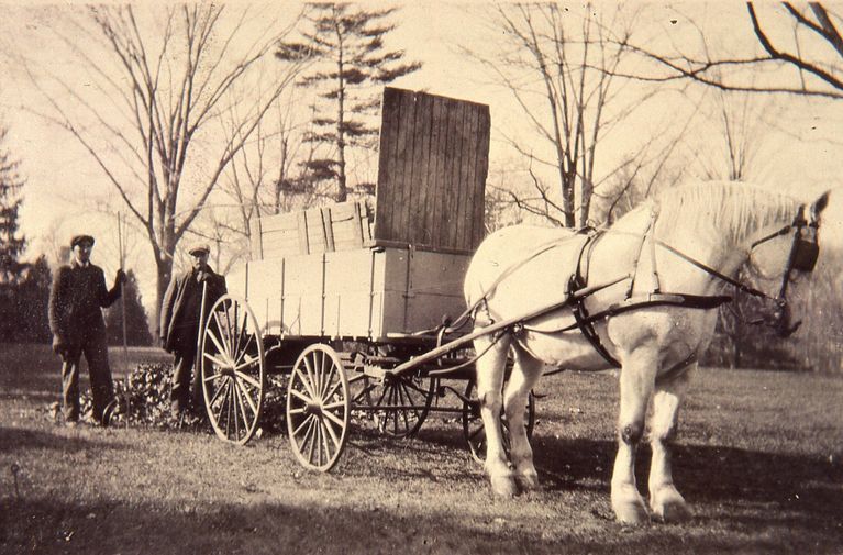          Hartshorn: Leaf Cart picture number 1
   