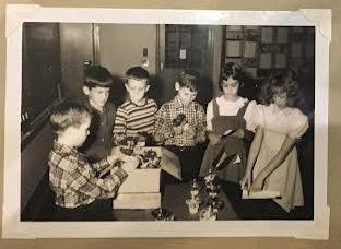          Mrs. Schaughency's Third Grade Class
   