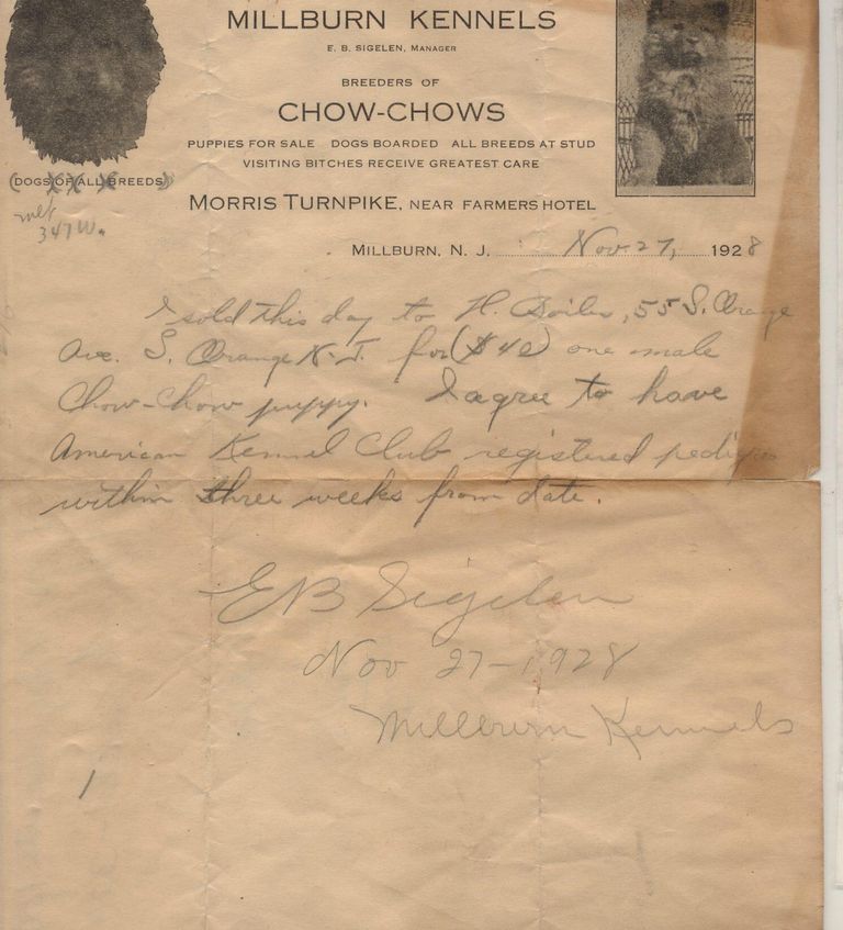          Millburn Kennels, Chow-Chow Puppy Receipt, 1928 picture number 1
   