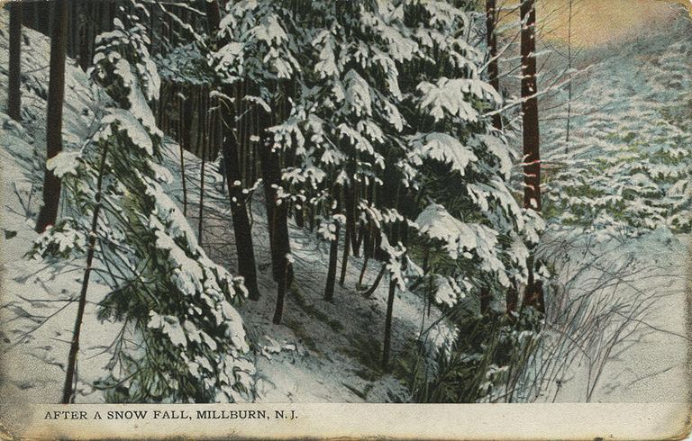          After a Snowfall, 1910 picture number 1
   