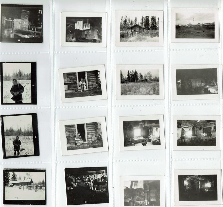          Hartshorn: Stewart Henry Hartshorn, Jr. Alaskan Photos picture number 1
   