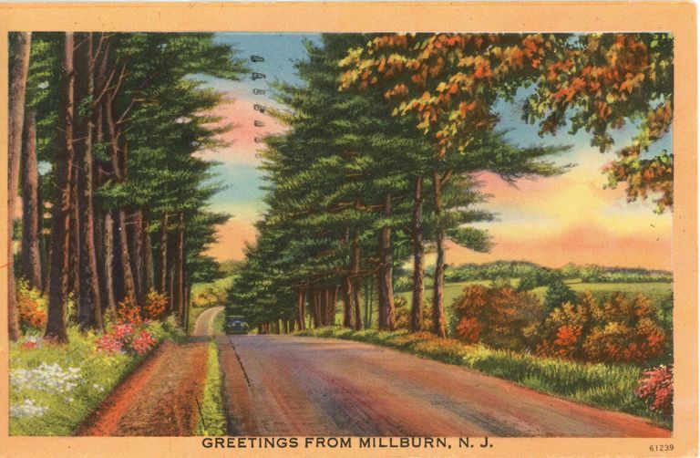          Greetings From Millburn, 1953 picture number 1
   