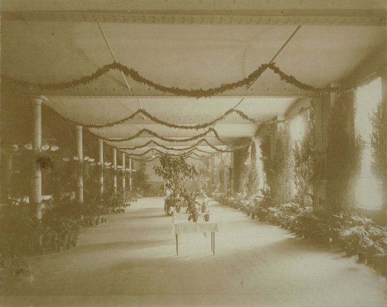          Pitcher & Manda Display at First New York Flower Show picture number 1
   