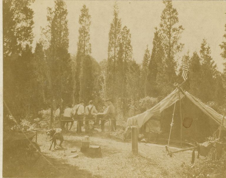          Bosworth: Camping photographs picture number 1
   