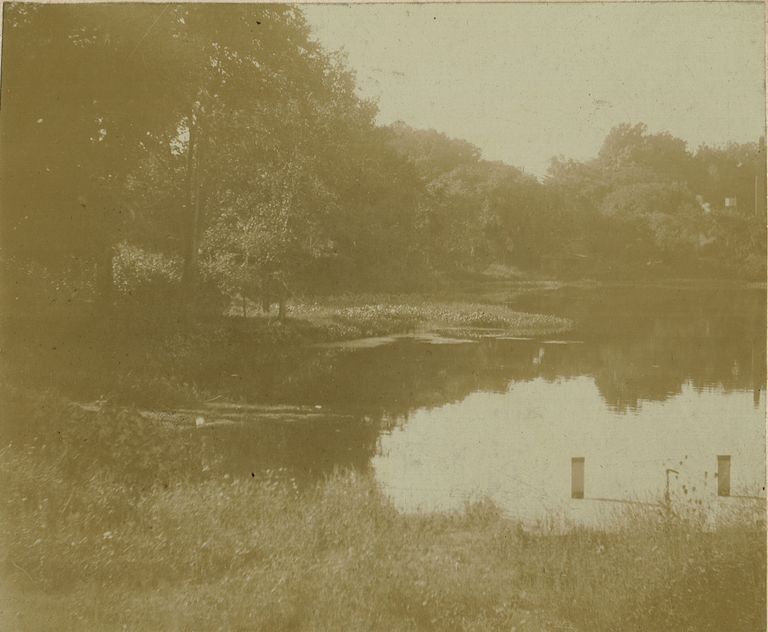          Millburn: Diamond Mill Pond, 1896 picture number 1
   