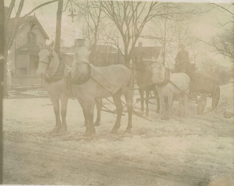          Marshall-Schmidt Album: Man Driving Horse-Drawn Cart in the Snow picture number 1
   