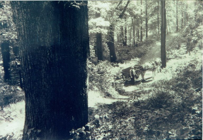          Arboretum: Man with Cart Photograph picture number 1
   
