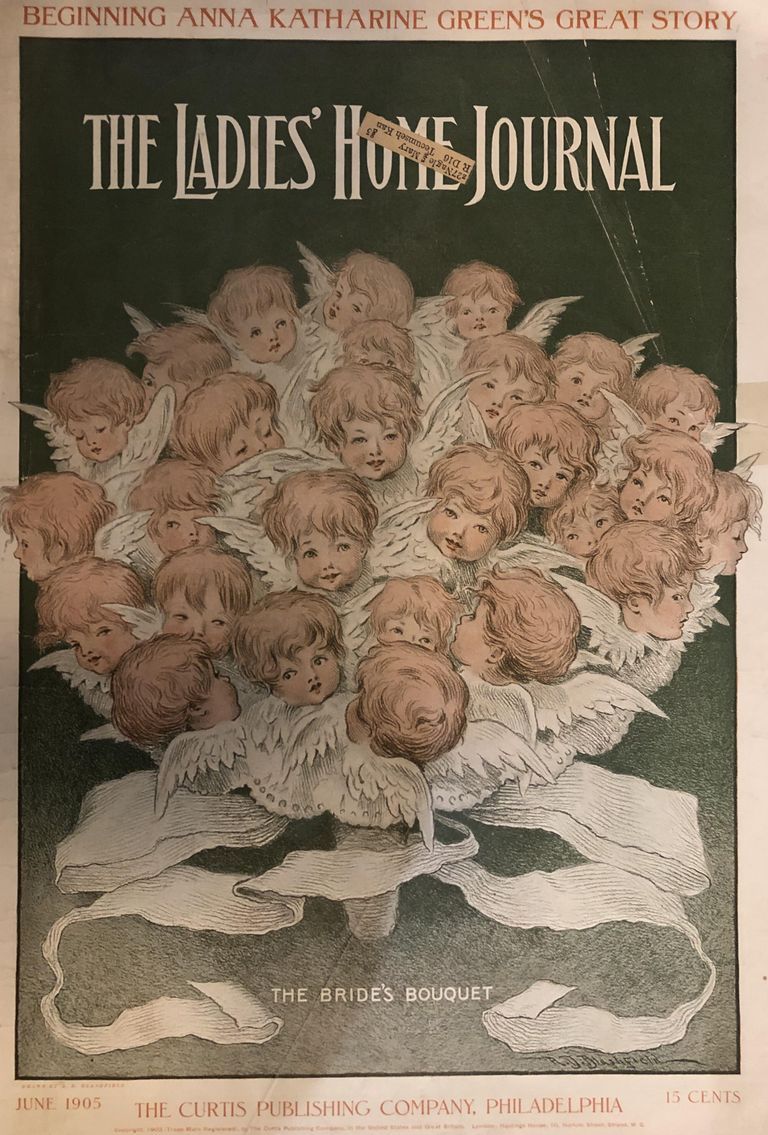          Bradley: Ladies Home Journal, June 1905 picture number 1
   
