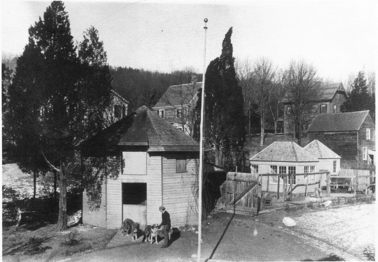          Linden Street: View Looking North to Wyoming Avenue picture number 1
   