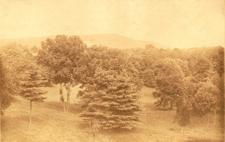          Hartshorn Album 3: View of Mountain with Trees in Foreground picture number 1
   