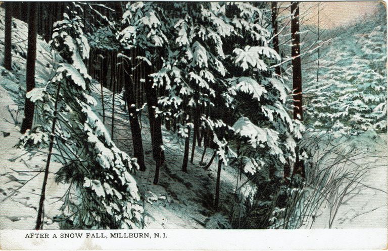          After a Snow Fall, 1908 picture number 1
   