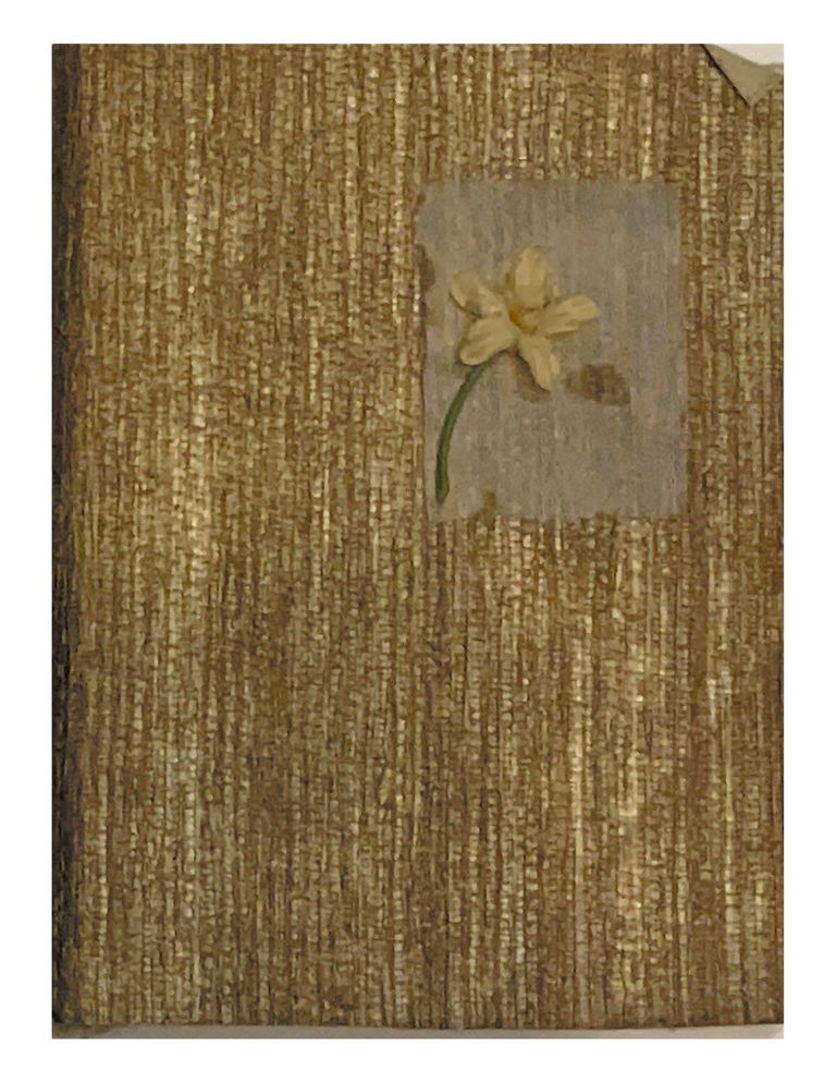          Flowre Dysches picture number 1
   