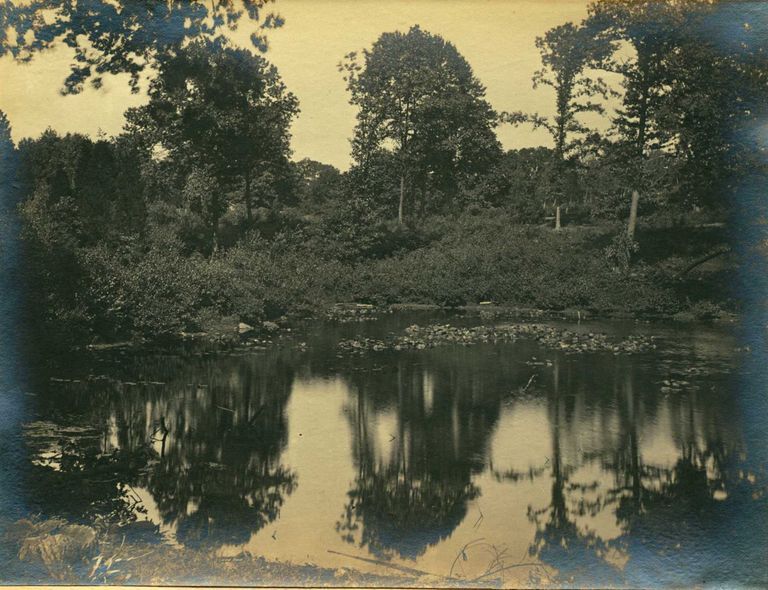         Hartshorn Album 3: Reflective Pond in Short Hills picture number 1
   