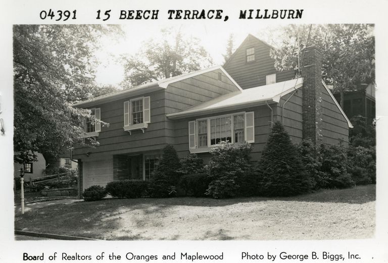          BeechTerrace15MB picture number 1
   