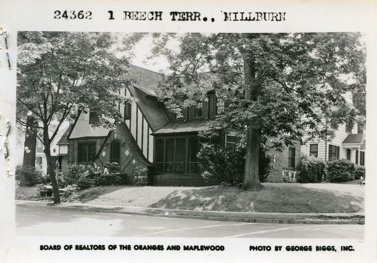          BeechTerrace1MB picture number 1
   