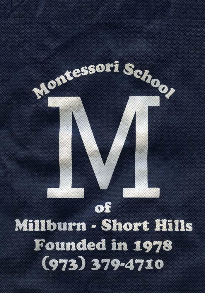          Montessori School Of Millburn-Short Hills picture number 1
   