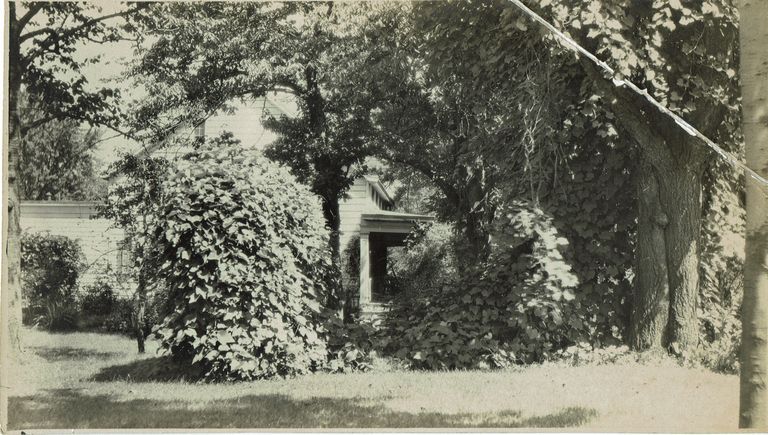          Brison: House and Garden Side View, c. 1900 picture number 1
   