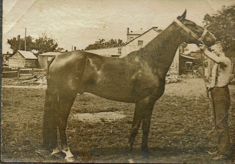          Marshall-Schmidt Album: Man Standing Outside Holding Horse's Bridle picture number 1
   