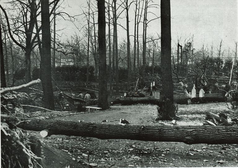          Hurricane: Damage to St. Stephen's Cemetery, 1950 picture number 1
   