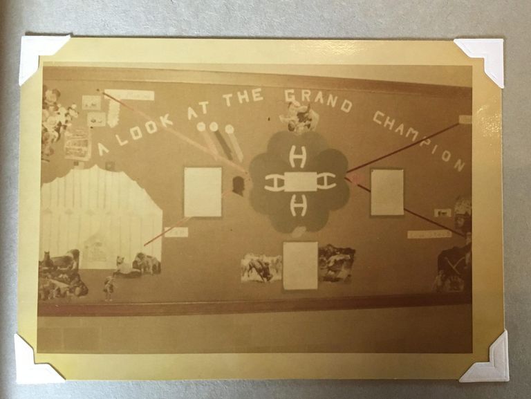          Glenwood Scrapbook: Bulletin Board Displays picture number 1
   