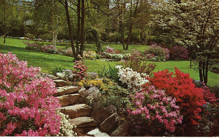          Arboretum: Cora Hartshorn Arboretum Postcard View picture number 1
   