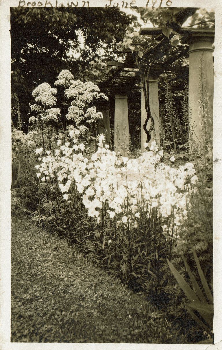          Brooklawn, N.J.: Garden, 1910 picture number 1
   