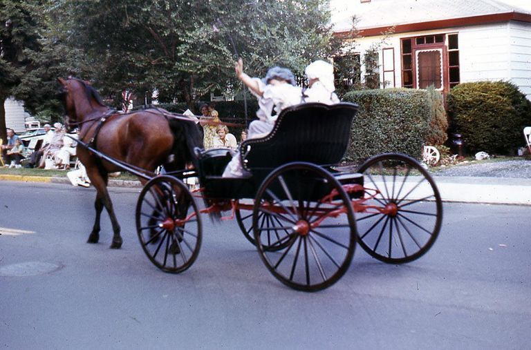          July 4: Horse and Buggy in American Bicentennial Parade, 1976 picture number 1
   