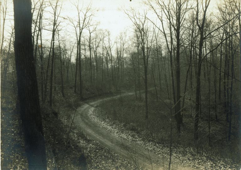          Hartshorn: Dirt Road on Hartshorn Estates Near the Saw Mill, Below the Water Tank picture number 1
   