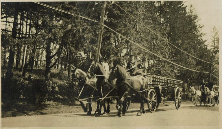          Parade: May 1917, Horse Drawn Wagon Leading Parade picture number 1
   