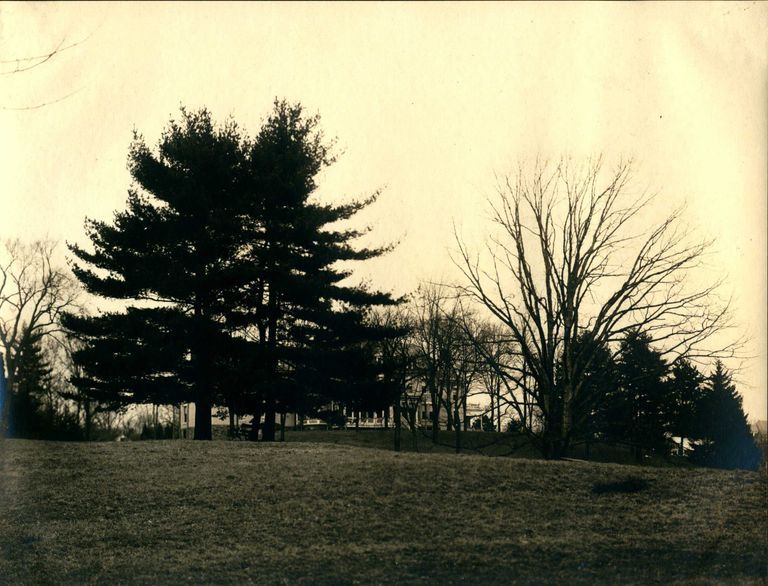          Hartshorn Photo Album Short Hills: Hartshorn Residence Behind Trees picture number 1
   