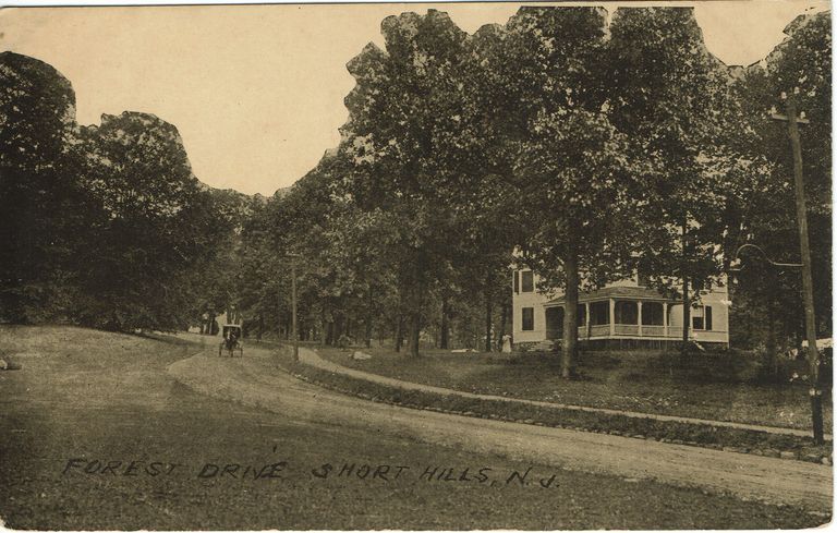          Forest Drive, Short Hills picture number 1
   