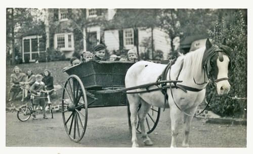          Badenhausen Pony at Park Circle, 1938 picture number 1
   