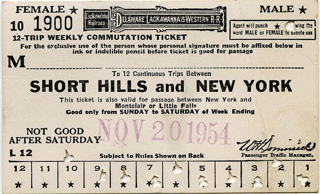         Delaware, Lackawanna & Western Railroad 12 Trip Ticket, 1954 picture number 1
   